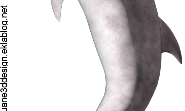 Image de dauphin (tube-poser-render)