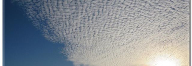 NOVEMBRE 2020 LA TETE DANS LES NUAGES