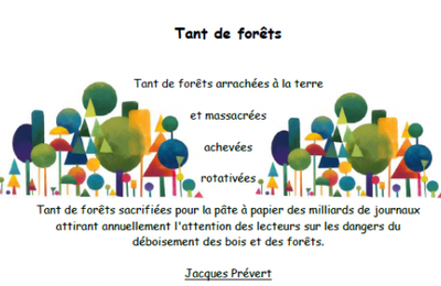 Tant de forêts