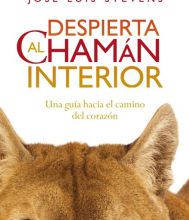 DOWNLOADS Despierta al chaman interior