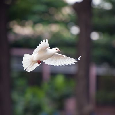 Avis de décès de Vital Heurtebize