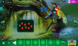 Fantasy world parrot escape soluce