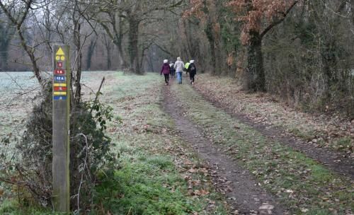 Randonnée hivernale