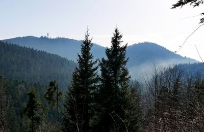 Le 2 février 2025 : Balade sur les crêtes de la Praille