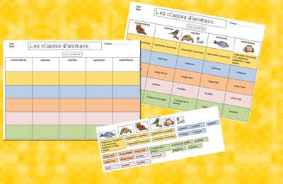 Tableau récapitulatif des vertébrés.