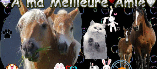 Merci a El agaria♥
