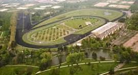 PRONO QUINTE DU 14/12 A VINCENNES