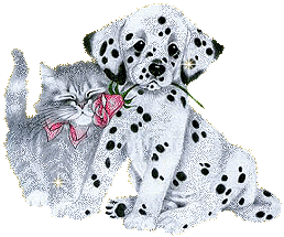 Animaux