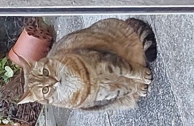 Quya a 5 ans - 19-05-2019-2024