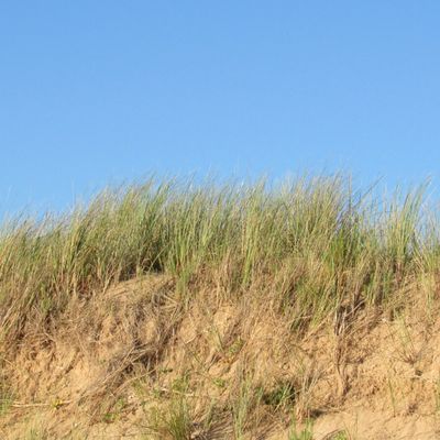  Citations extraites des Méditations du DALAÏ-LAMA (3)