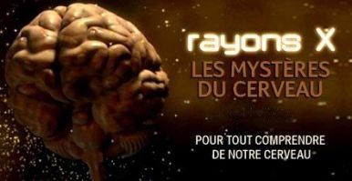 LES MYSTERES DU CERVEAU  