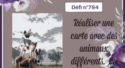 Passion Cartes Créatives#794 !