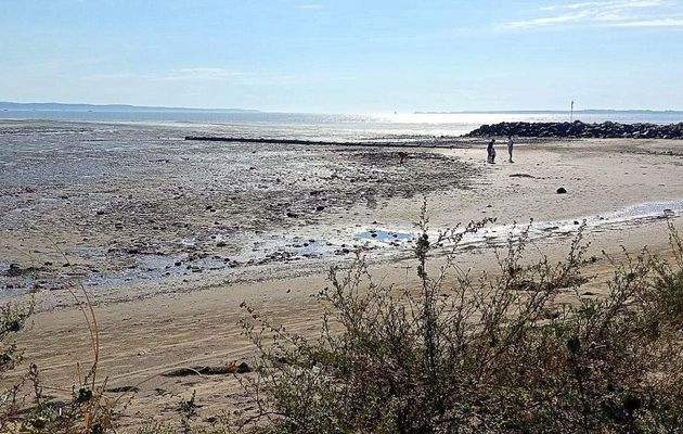 plages de Marennes (17)