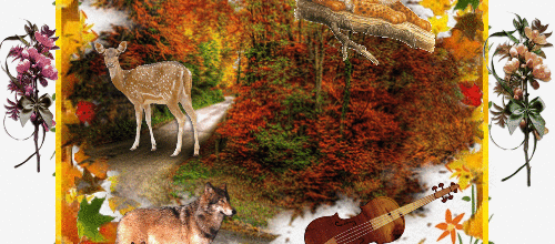 ANIMAUX NATURE EN AUTOMNE