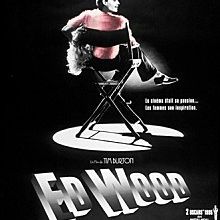 BOX OFFICE PARIS DU 28/06/1995 AU 04/07/1995