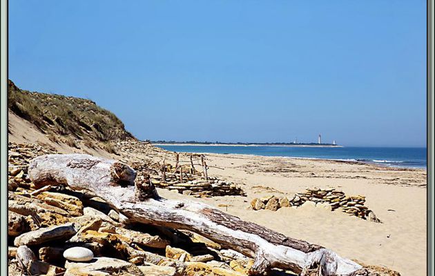 Plage de la Conche de baleines - Saint-Clément-des-Baleines - Ile de Ré - 17
