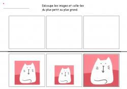 Grand chat, petit chat : les tailles