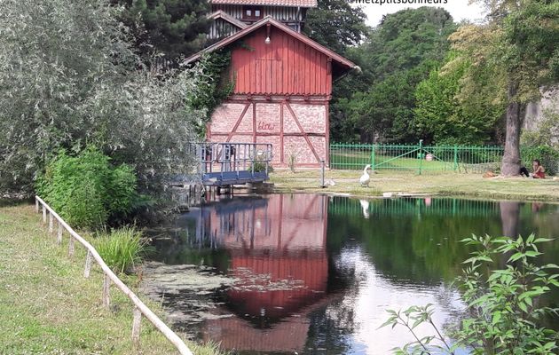 Reflets du mois d'août.