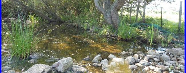 Corse, Balagne, la boucle de l'Acciolu