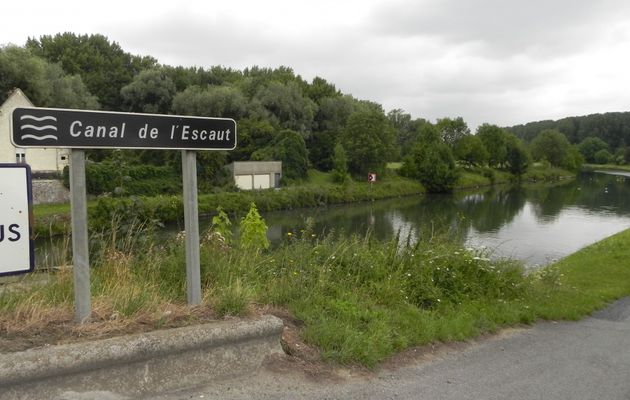 Les biquettes sur le chemin du retour d'Escaudoeuvre