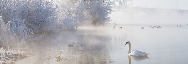 Vent d'hiver