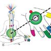 Yoga de l'Énergie de Roger Clerc