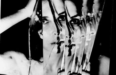 CAROLEE SCHNEEMANN