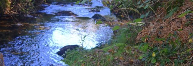  Ambiance  automne  vrac 