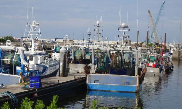 Le nouveau port de La Turballe