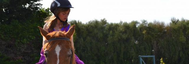 le cheval à l' honneur 