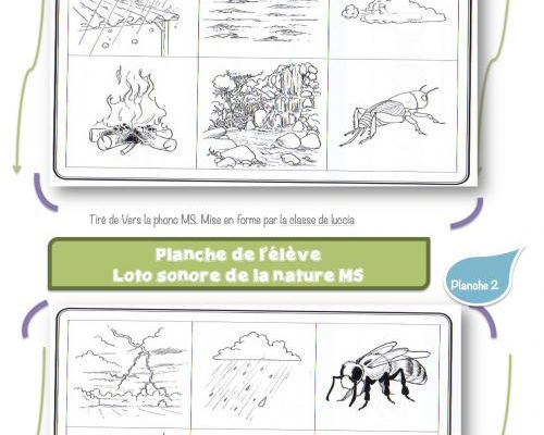 Loto de la nature MS