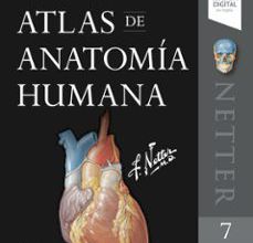 NETTER. ATLAS DE ANATOMÍA HUMANA (7ª ED.) leer epub gratis