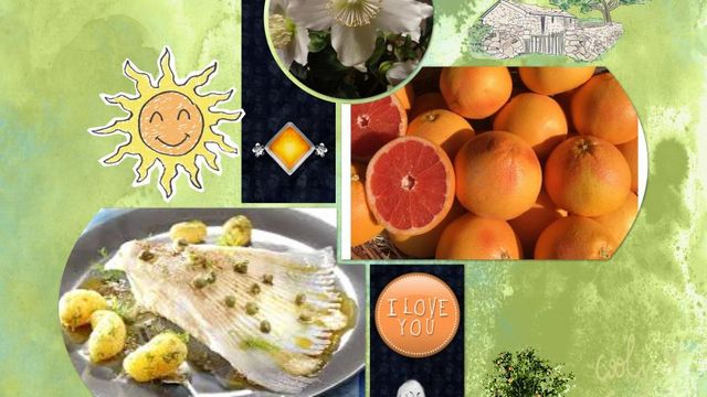 Votre Marché de la Semaine + La Fleur du vendredi