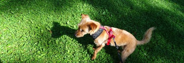 Déjà le mois d'Août!!