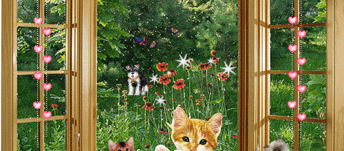 CREA CHATS