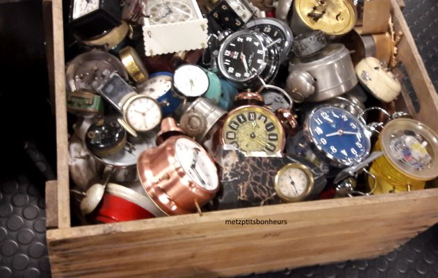 Les "puces" de novembre...