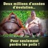 Pourquoi ne pas rester sérieux dans ce monde de dingues?