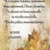 Dicton et Fête du jour Adeline + grille prénom !