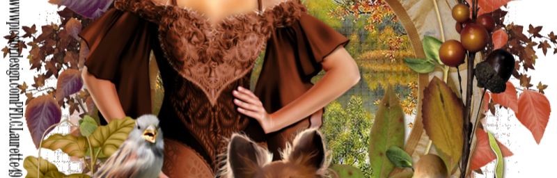 L'automne 01 C.Laurette