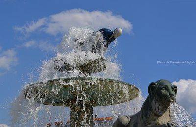 La photo du weekend : La fontaine aux lions