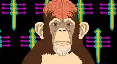 La théorie du singe défoncé