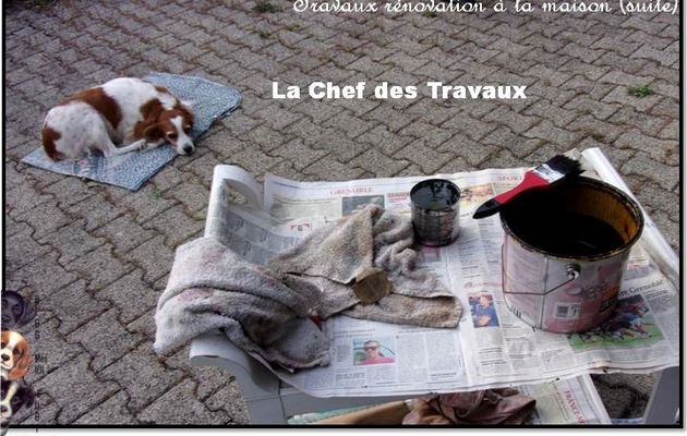 Tout en délicatesse mais ....