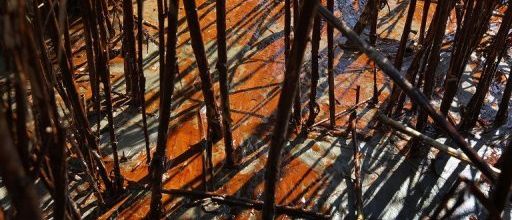 Plus de 55 km de côtes souillées, la fuite plus importante que prévue