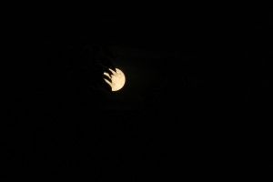 Pleine Lune et cerisier