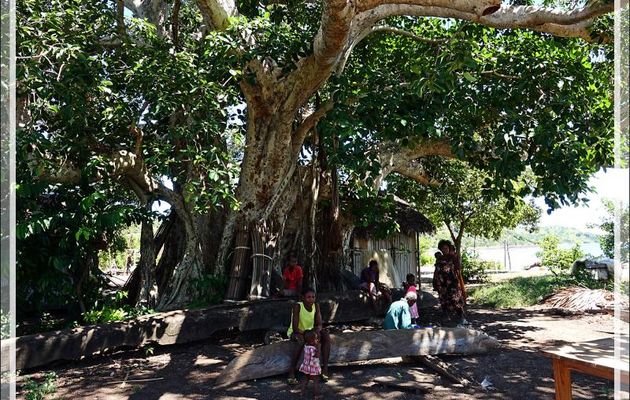 Ambaramidada : Repos du dimanche à l'ombre - Grande Mitsio - Madagascar