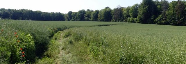 Circuit de Crouy-sur-Ourcq (2/3) : partie nord-est jusqu'à Coulombs-en-Valois