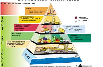 L'alimentation
