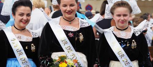 Fleurs de pommiers