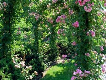Permaculture et jardin bio-intensif