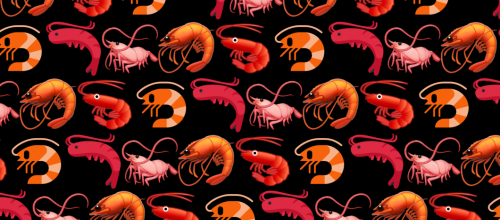 Les crevettes sont sous Prozac
